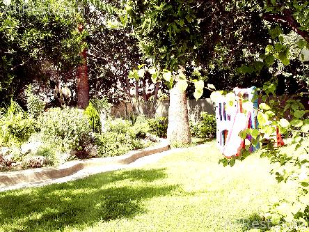 Jasmine Hotel Apts 6